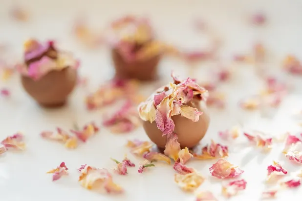 Tusk Kasino Apl Android/iOS